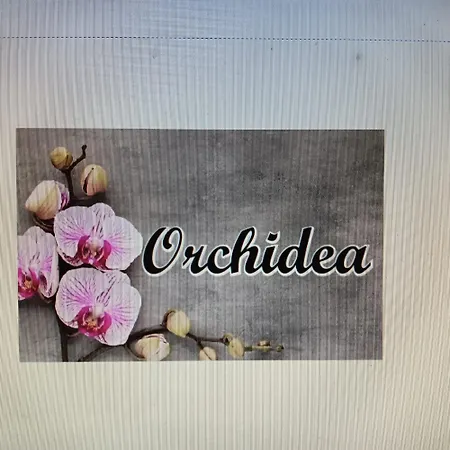Orchidea Naples
